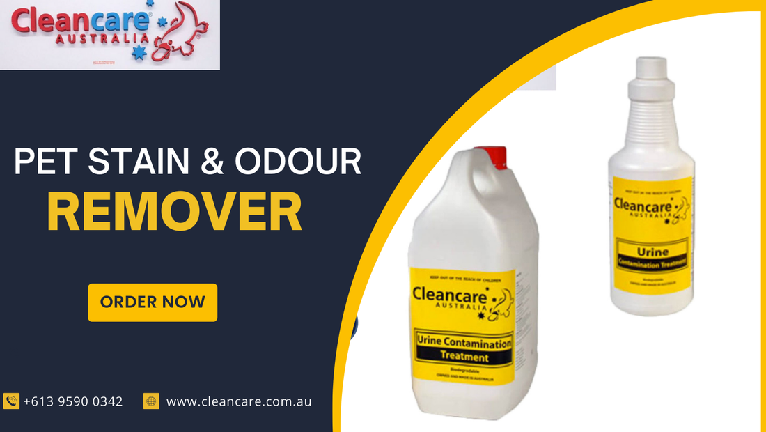 The Science of Urine Odor and Stains: Why Household Cleaners Don’t Work