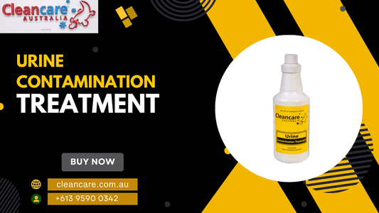 DIY vs. Professional Urine Contamination Treatment: Which is Better?