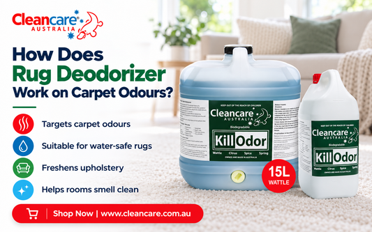 How Does Rug Deodorizer Work on Carpet Odors?