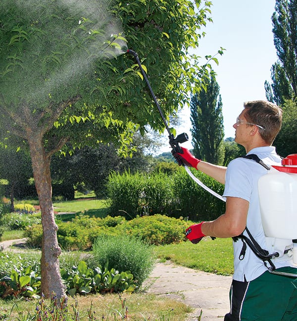 professional-grade sprayer Solo 475