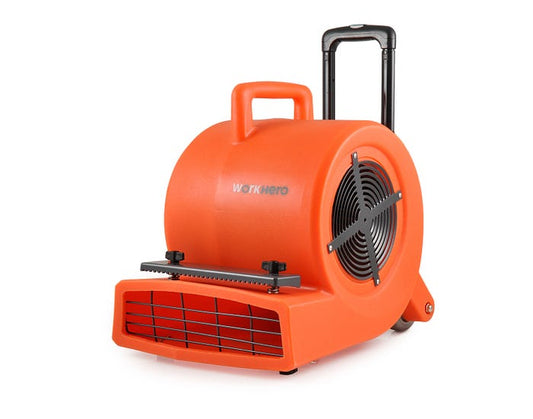 Durable Commercial-Grade Carpet Blower for Quick Drying